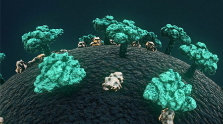 Bloodborne Pathogens & Communicable Diseases